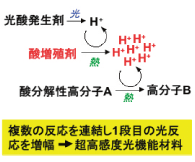 画像：有光研究室