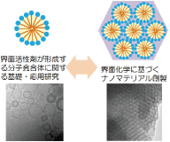 画像：酒井秀樹・酒井健一研究室